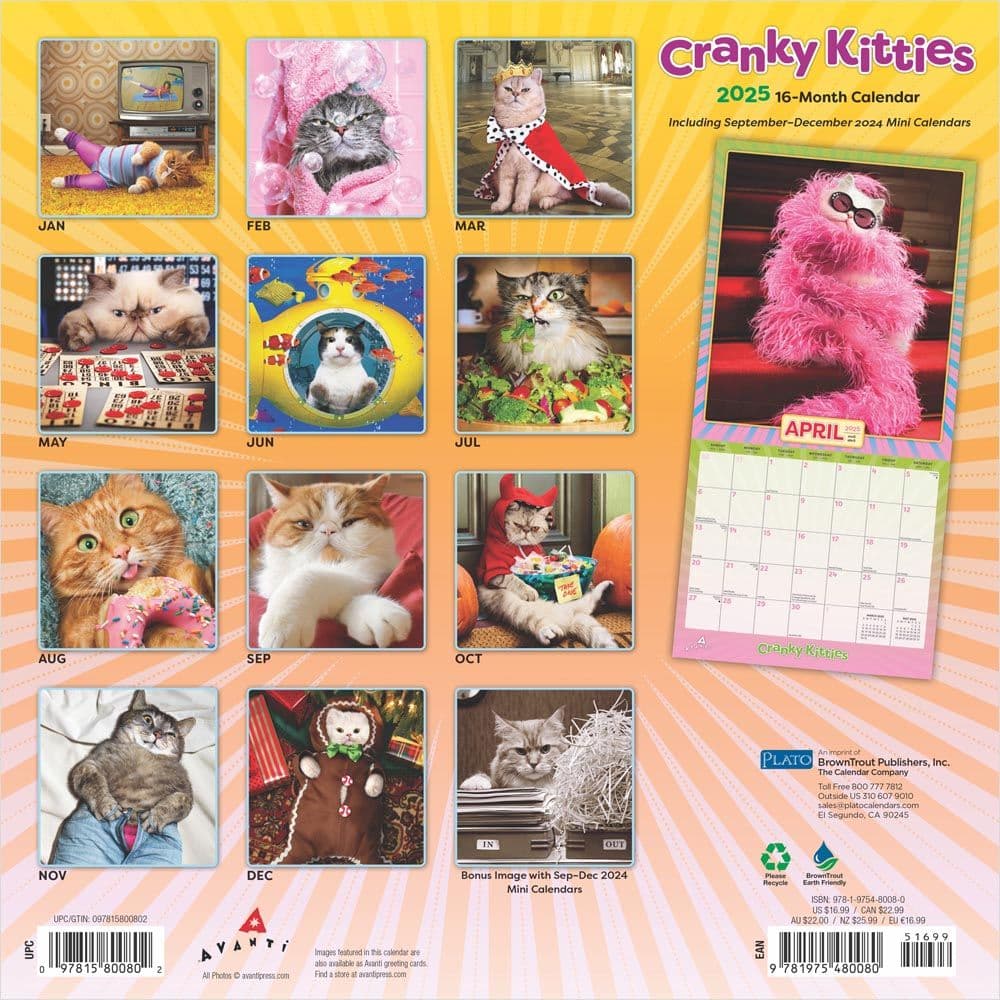 Avanti Cranky Kitties by Plato 2025 Wall Calendar