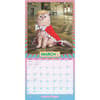 image Avanti Cranky Kitties by Plato 2025 Wall Calendar Second Alternate Image width=&quot;1000&quot; height=&quot;1000&quot;