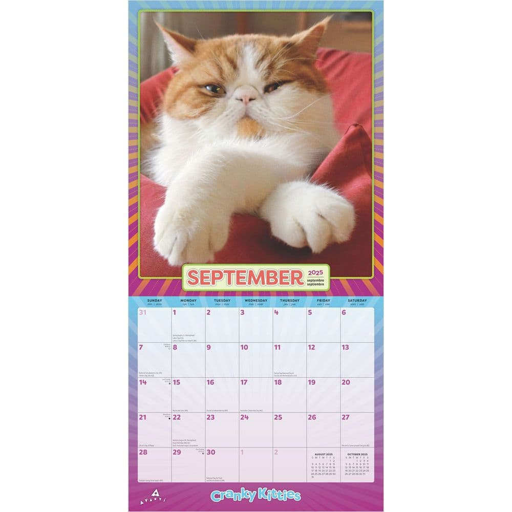 Avanti Cranky Kitties by Plato 2025 Wall Calendar Third Alternate Image width=&quot;1000&quot; height=&quot;1000&quot;