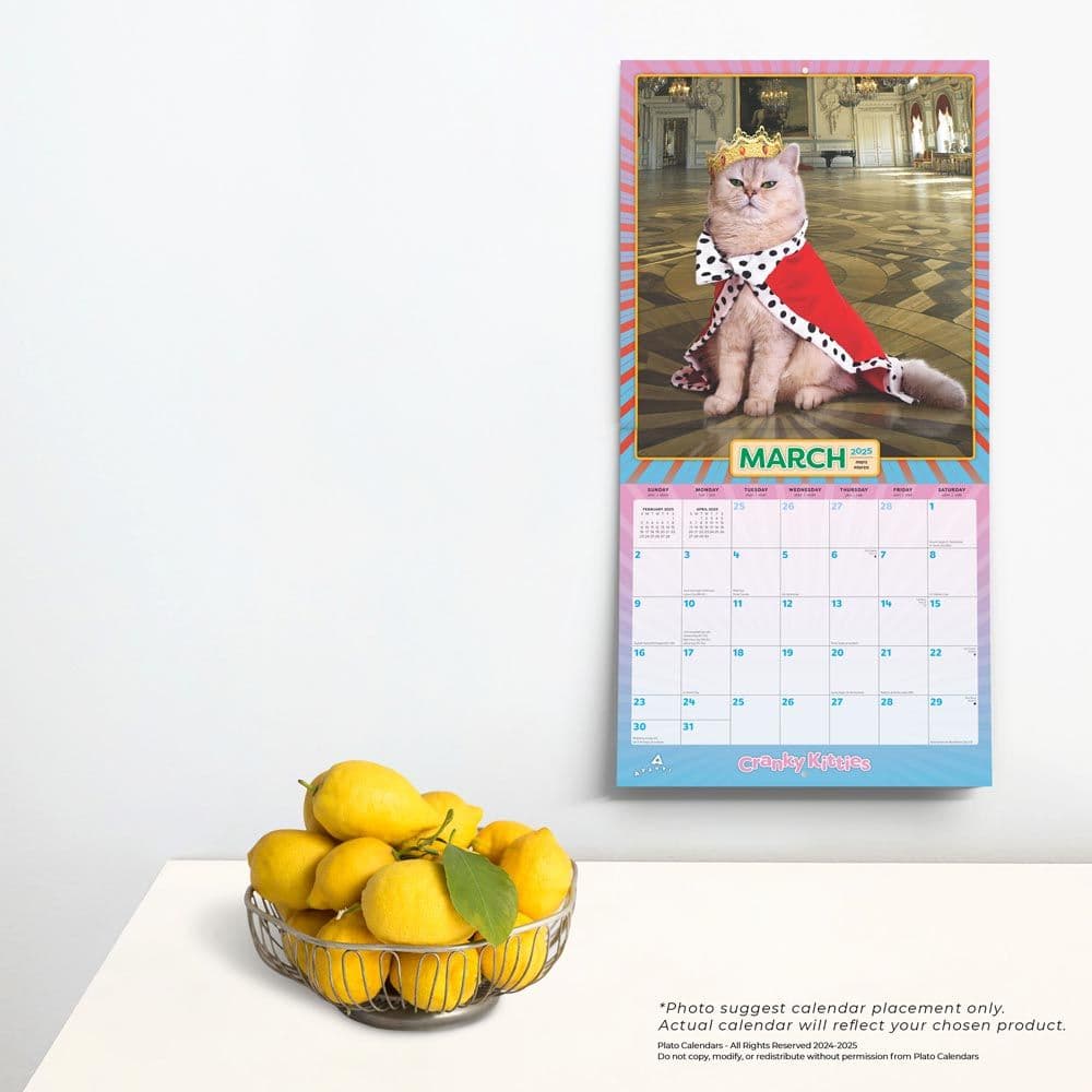 Avanti Cranky Kitties by Plato 2025 Wall Calendar Fourth Alternate Image width=&quot;1000&quot; height=&quot;1000&quot;