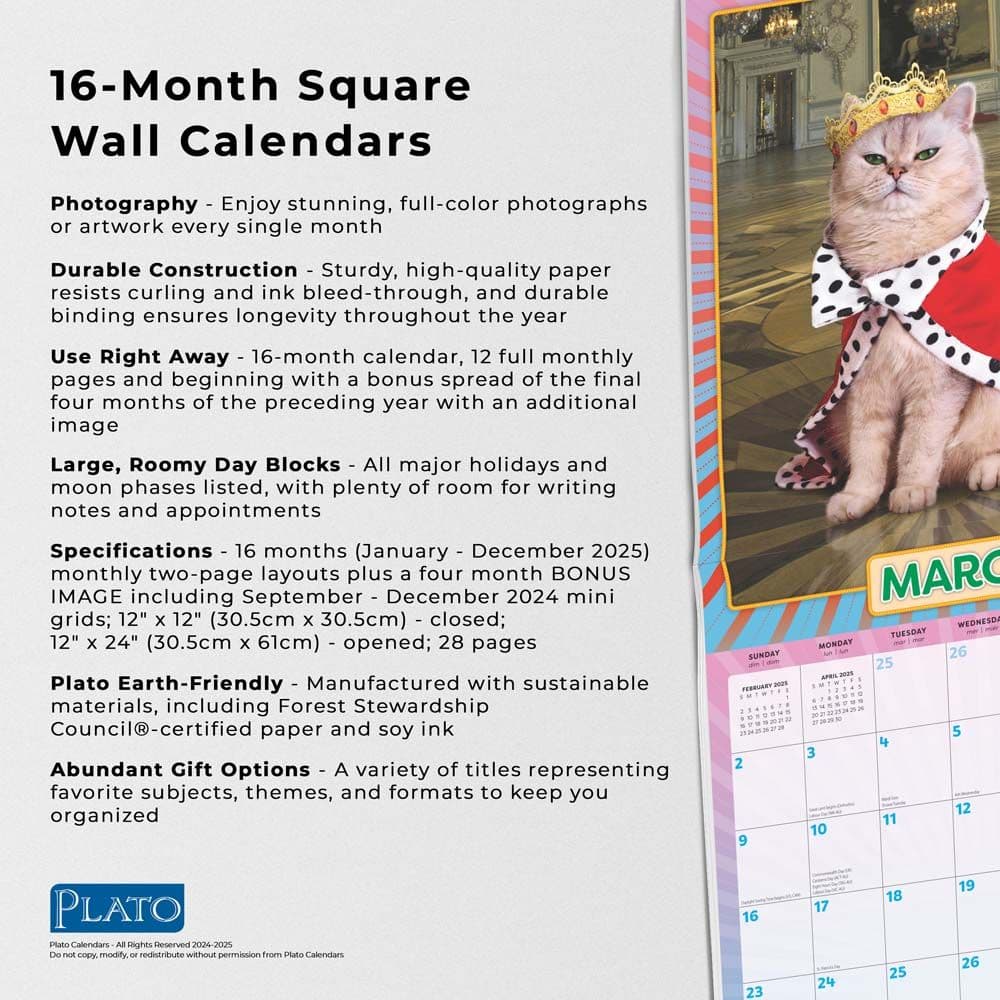 Avanti Cranky Kitties by Plato 2025 Wall Calendar Fifth Alternate Image width=&quot;1000&quot; height=&quot;1000&quot;