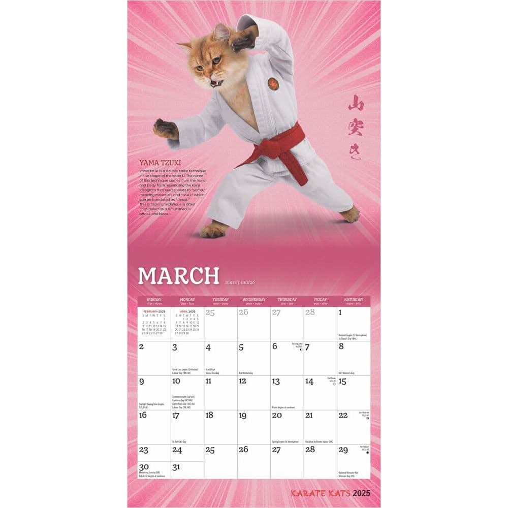 Karate Cats 2025 Mini Wall Calendar Second Alternate Image width=&quot;1000&quot; height=&quot;1000&quot;