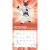 image Karate Cats 2025 Mini Wall Calendar Third Alternate Image width=&quot;1000&quot; height=&quot;1000&quot;