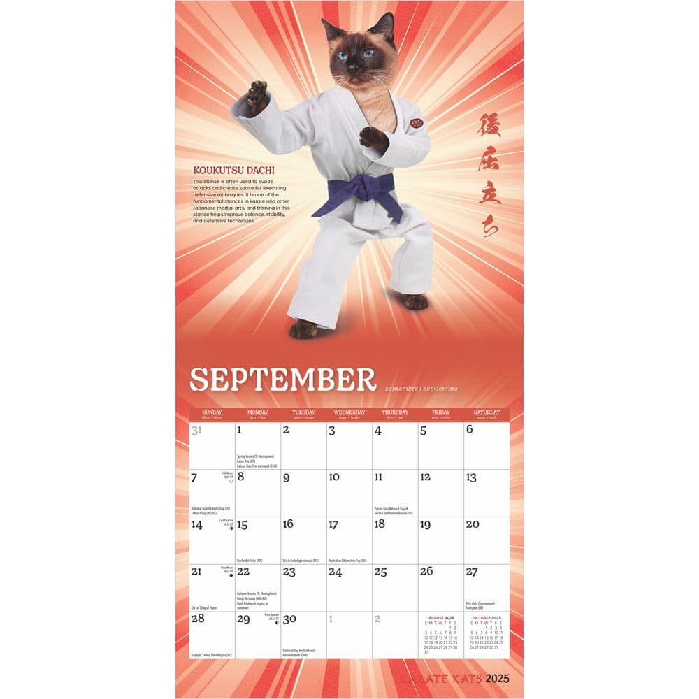 Karate Cats 2025 Mini Wall Calendar Third Alternate Image width=&quot;1000&quot; height=&quot;1000&quot;