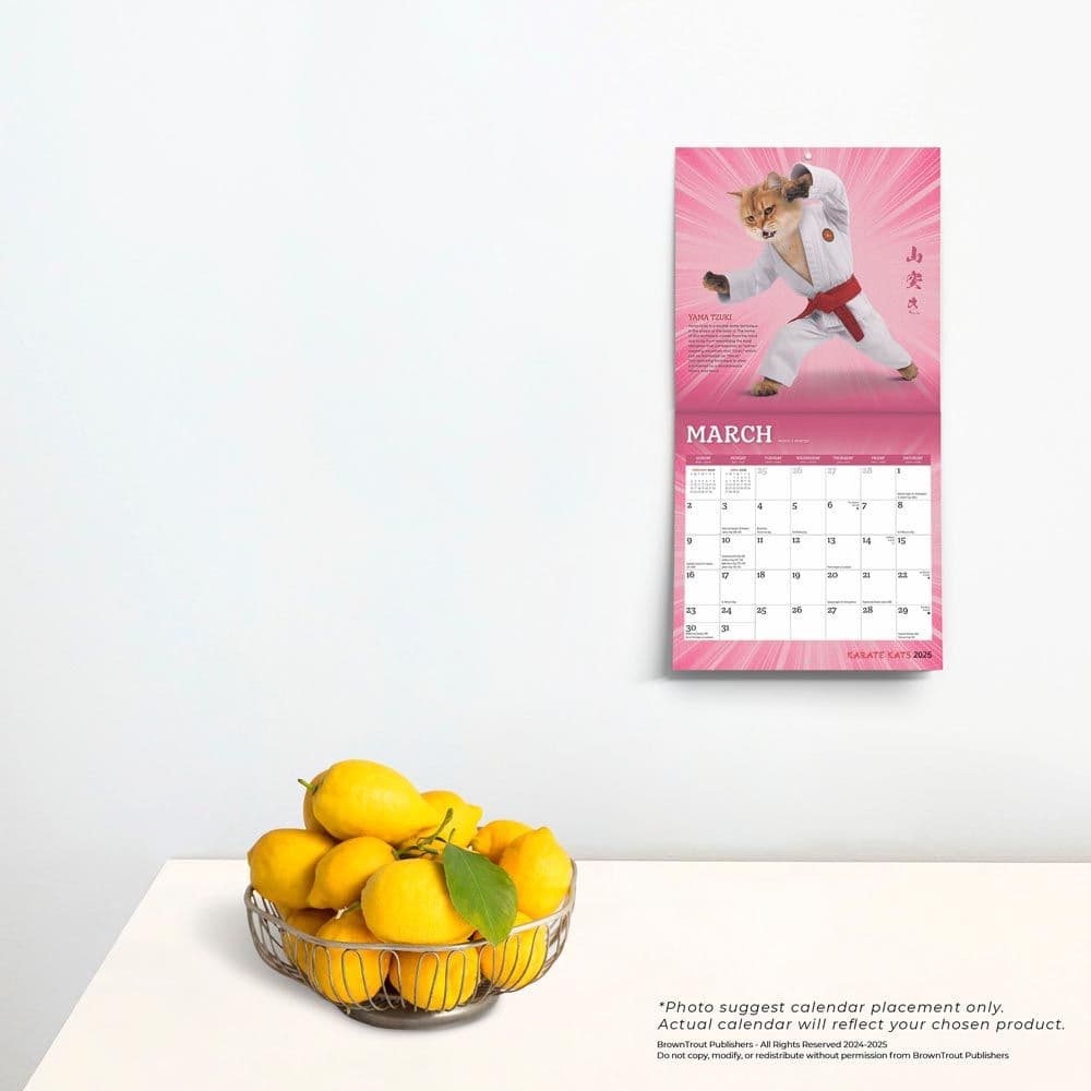 Karate Cats 2025 Mini Wall Calendar Fourth Alternate Image width=&quot;1000&quot; height=&quot;1000&quot;