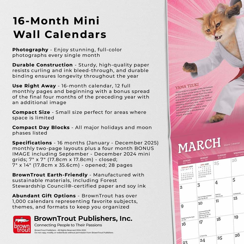 Karate Cats 2025 Mini Wall Calendar Fifth Alternate Image width=&quot;1000&quot; height=&quot;1000&quot;