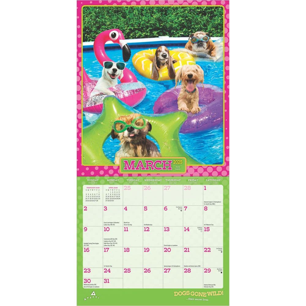 Avanti Dogs Gone Wild 2025 Mini Wall Calendar Second Alternate Image width=&quot;1000&quot; height=&quot;1000&quot;