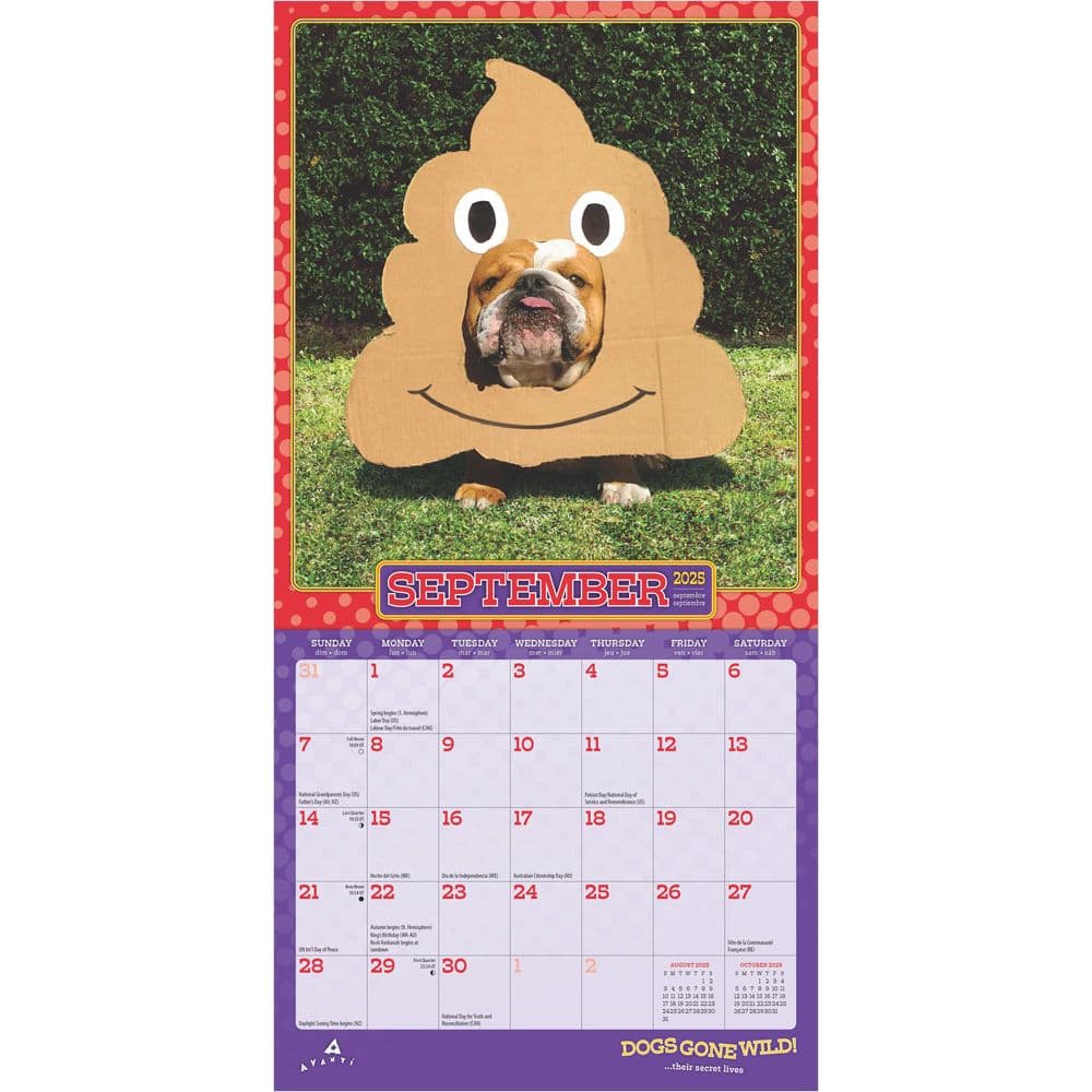 Avanti Dogs Gone Wild 2025 Mini Wall Calendar Third Alternate Image width=&quot;1000&quot; height=&quot;1000&quot;