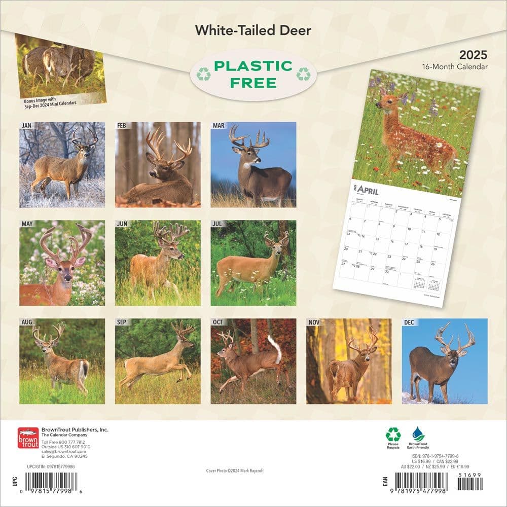 White Tailed Deer 2025 Wall Calendar First Alternate Image width=&quot;1000&quot; height=&quot;1000&quot;