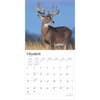 image White Tailed Deer 2025 Wall Calendar Second Alternate Image width=&quot;1000&quot; height=&quot;1000&quot;