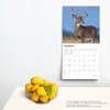 image White Tailed Deer 2025 Wall Calendar Fourth Alternate Image width=&quot;1000&quot; height=&quot;1000&quot;