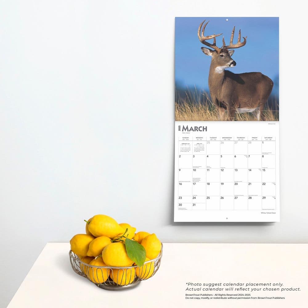 White Tailed Deer 2025 Wall Calendar Fourth Alternate Image width=&quot;1000&quot; height=&quot;1000&quot;