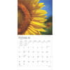 image Sunflowers 2025 Wall Calendar Second Alternate Image width=&quot;1000&quot; height=&quot;1000&quot;