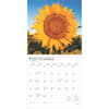 image Sunflowers 2025 Wall Calendar Third Alternate Image width=&quot;1000&quot; height=&quot;1000&quot;