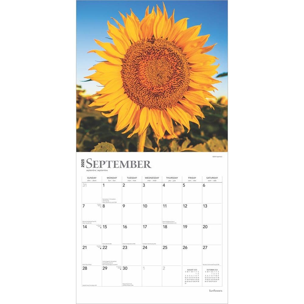 Sunflowers 2025 Wall Calendar Third Alternate Image width=&quot;1000&quot; height=&quot;1000&quot;