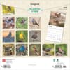 image Songbirds Square 2025 Wall Calendar First Alternate Image width=&quot;1000&quot; height=&quot;1000&quot;