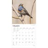 image Songbirds Square 2025 Wall Calendar Second Alternate Image width=&quot;1000&quot; height=&quot;1000&quot;