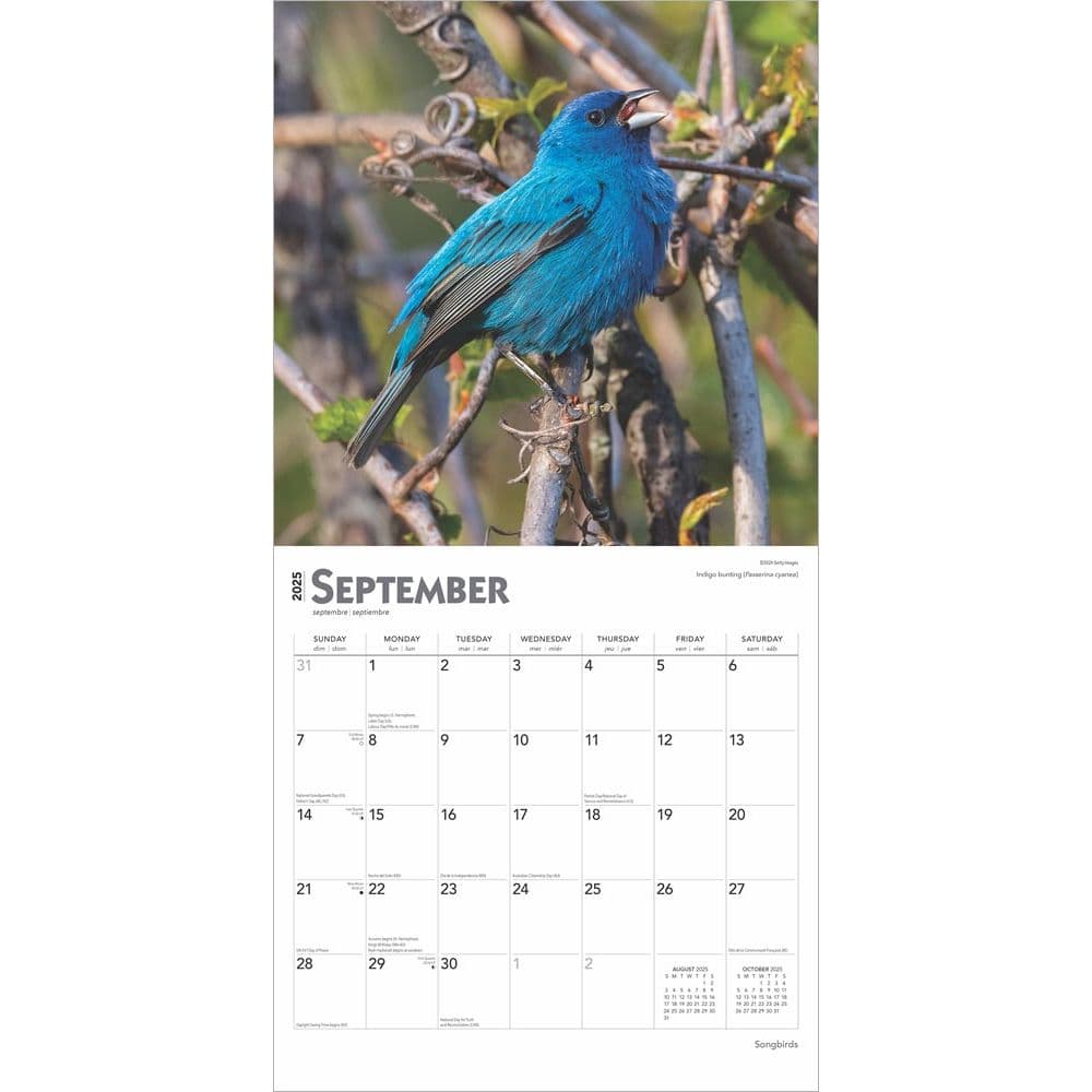 Songbirds Square 2025 Wall Calendar Third Alternate Image width=&quot;1000&quot; height=&quot;1000&quot;