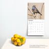 image Songbirds Square 2025 Wall Calendar Fourth Alternate Image width=&quot;1000&quot; height=&quot;1000&quot;