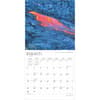 image Hawaii Volcanoes 2025 Wall Calendar Second Alternate Image width=&quot;1000&quot; height=&quot;1000&quot;