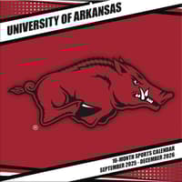 image COL Arkansas Razorbacks Wall Main Product Image