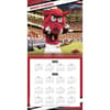 image COL Arkansas Razorbacks Wall Second Alternate Image