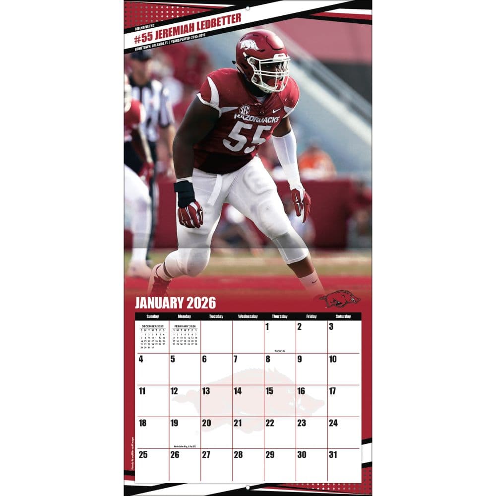 COL Arkansas Razorbacks Wall Third Alternate Image