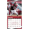 image COL Arkansas Razorbacks Wall Third Alternate Image
