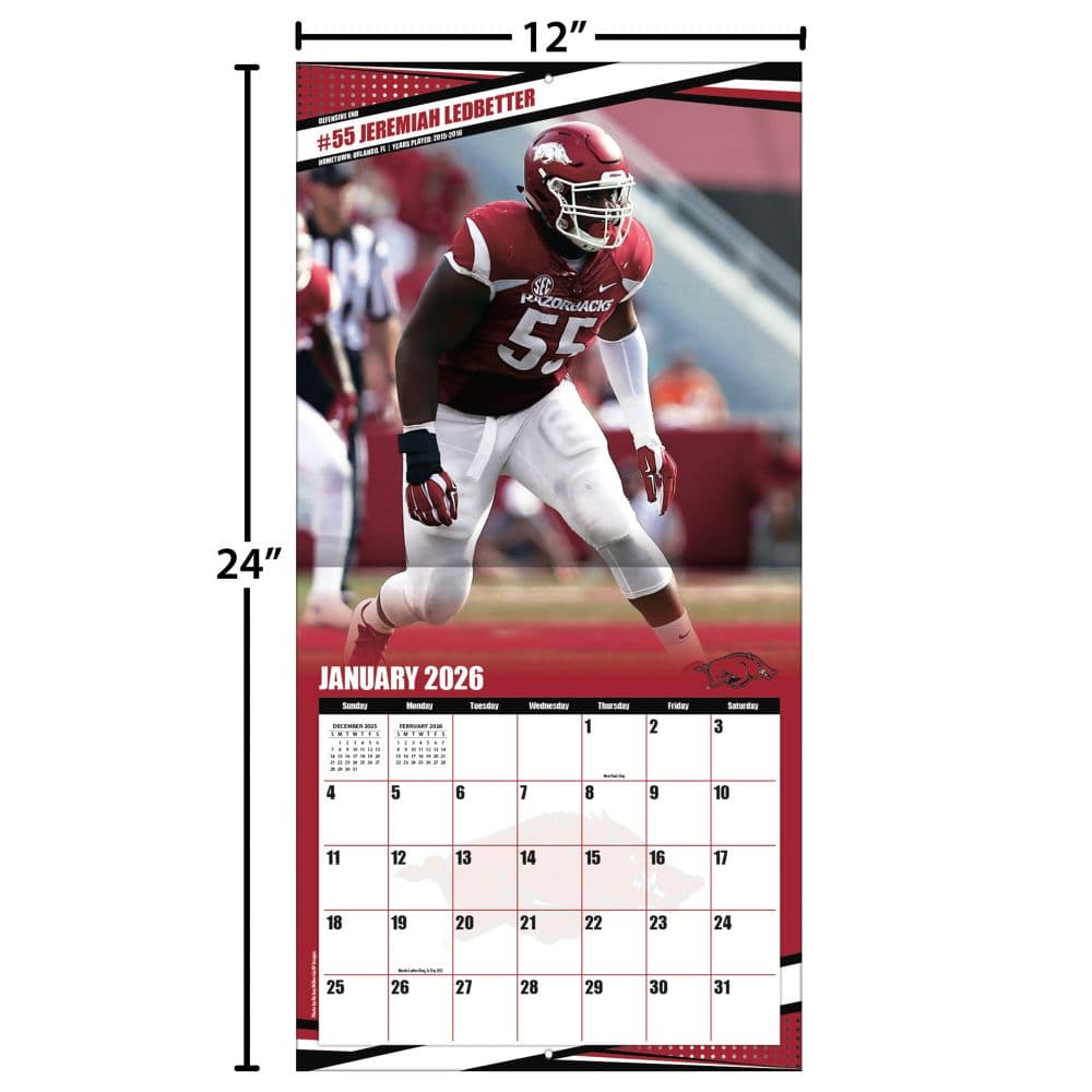 COL Arkansas Razorbacks Wall Fourth Alternate Image