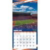 image COL Florida Gators Wall Third Alternate Image