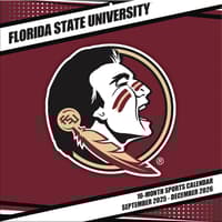 image COL Florida State Seminoles Wall Main Product Image