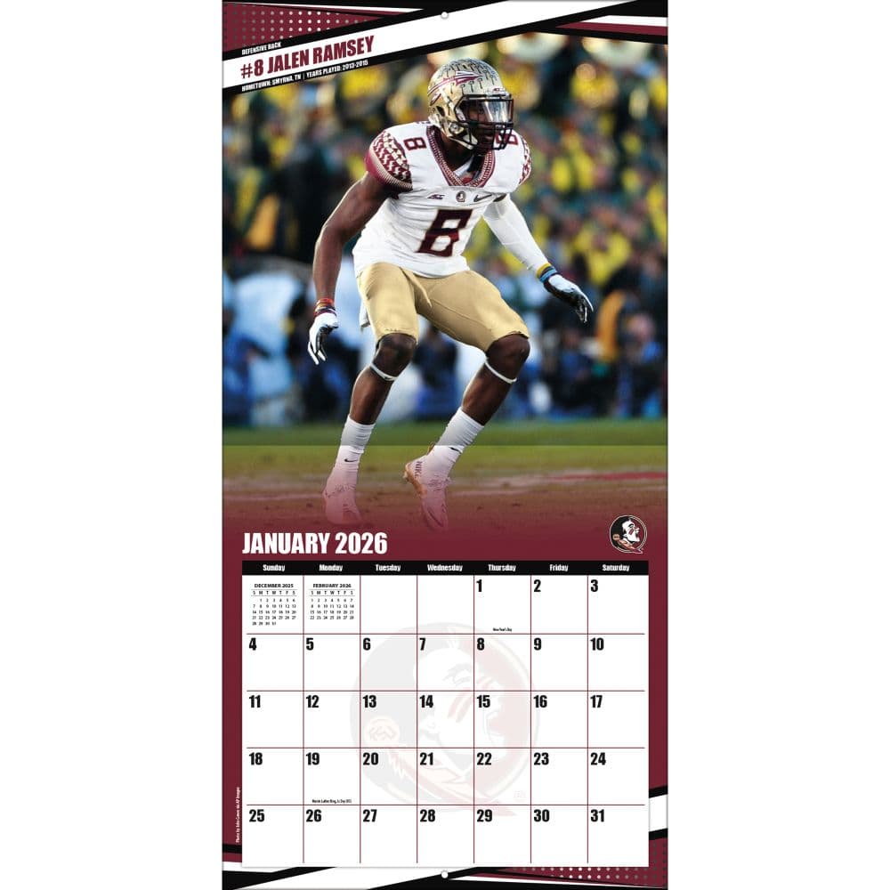 COL Florida State Seminoles Wall Third Alternate Image