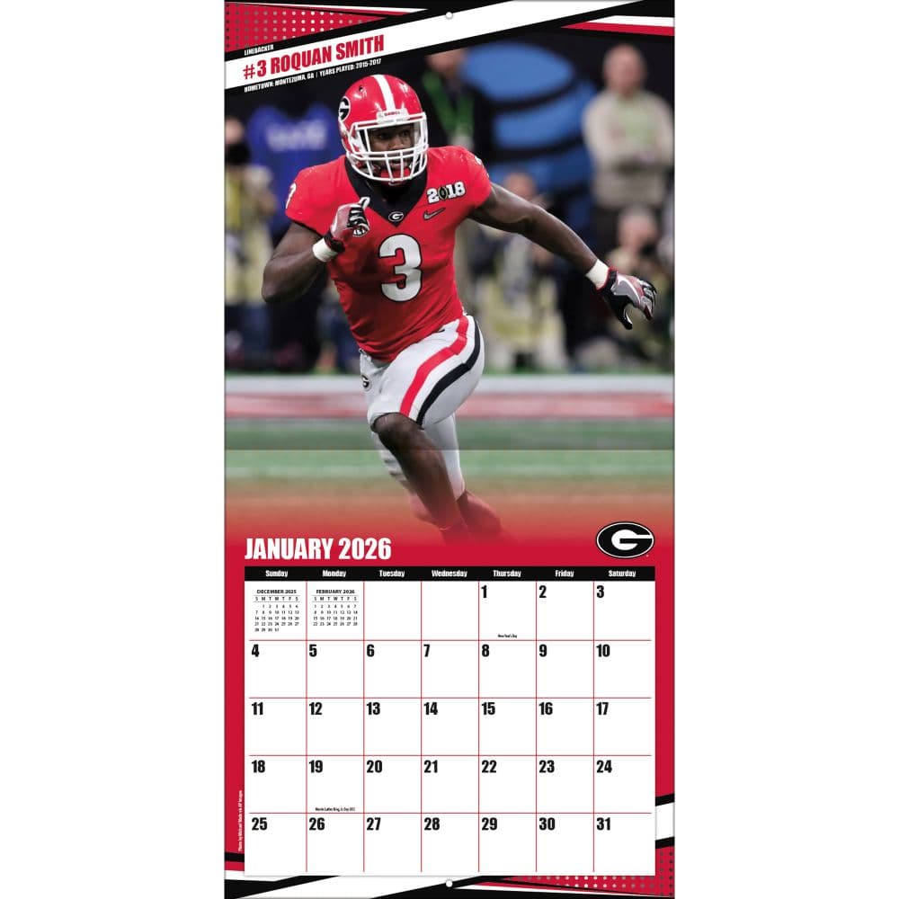 COL Georgia Bulldogs Wall Third Alternate Image