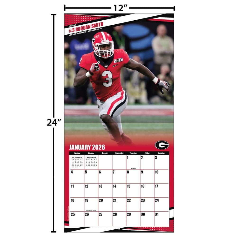 COL Georgia Bulldogs Wall Fourth Alternate Image