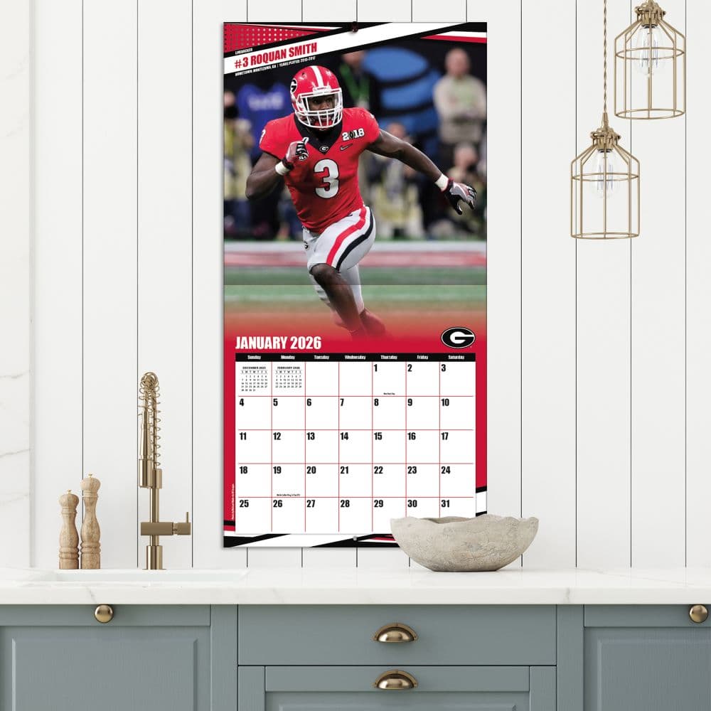 COL Georgia Bulldogs Wall Fifth Alternate Image