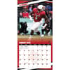 image COL Louisville Cardinals Wall Third Alternate Image