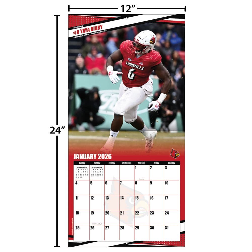 COL Louisville Cardinals Wall Fourth Alternate Image