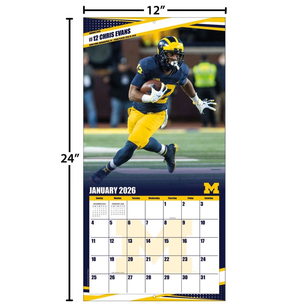 COL Michigan Wolverines Wall Fourth Alternate Image