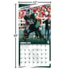 image COL Michigan State Spartans Wall Fourth Alternate Image