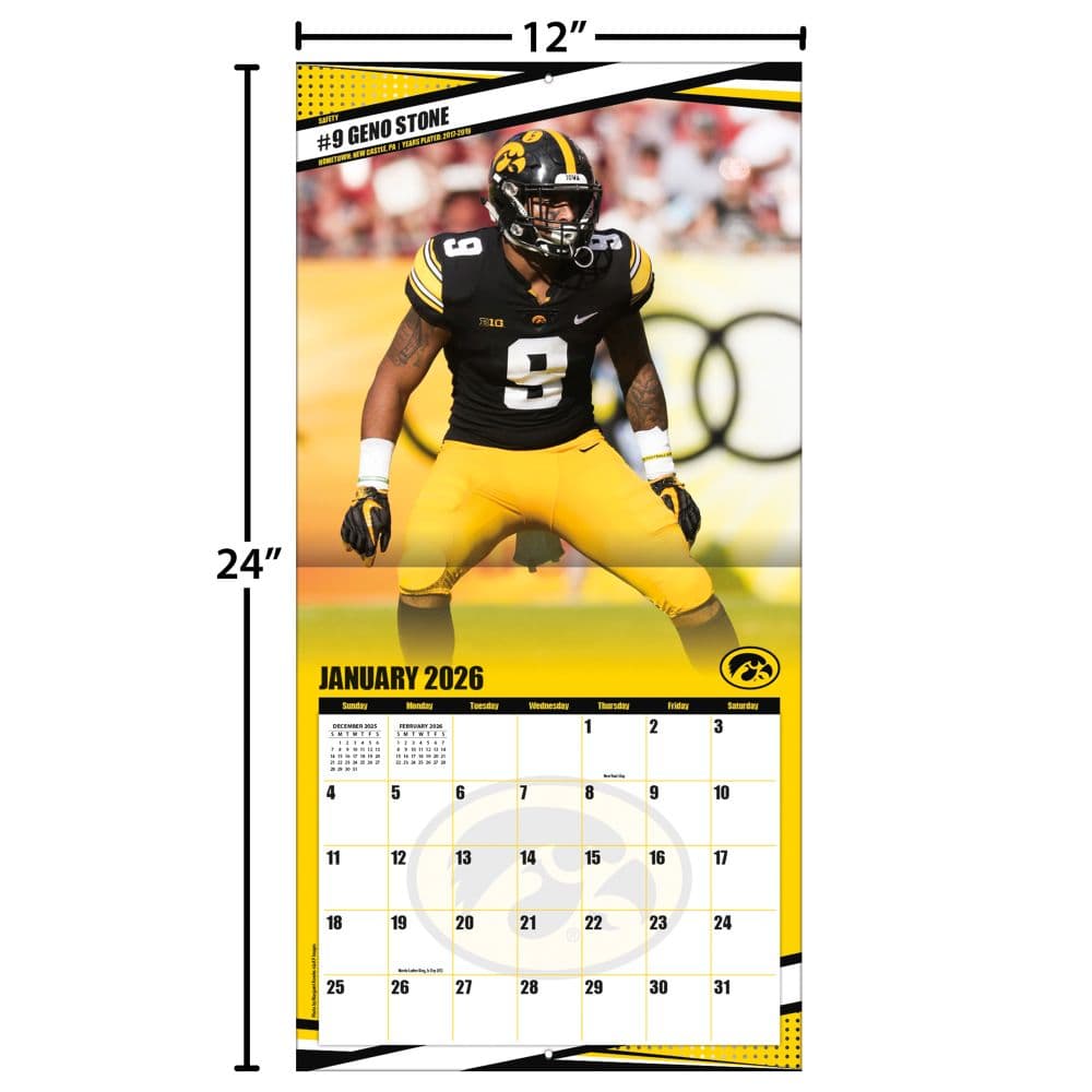 COL Iowa Hawkeyes Wall Fourth Alternate Image