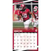 image COL Indiana Hoosiers Wall Third Alternate Image