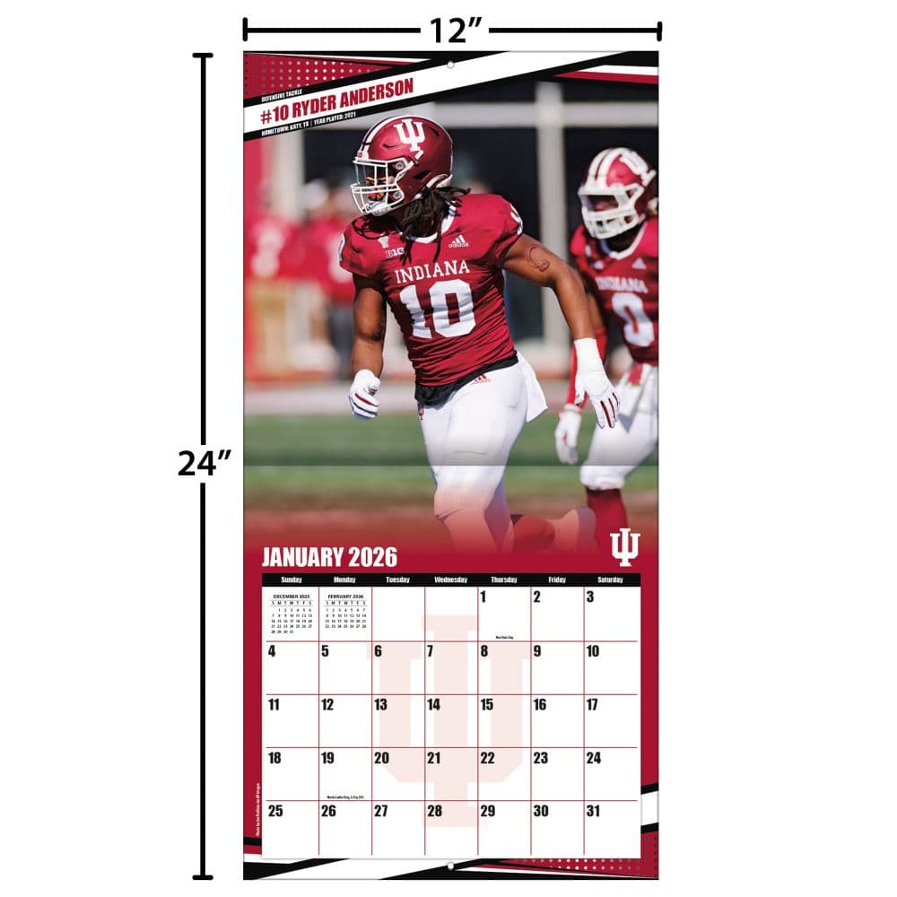 COL Indiana Hoosiers Wall Fourth Alternate Image