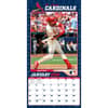 image MLB St Louis Cardinals 2026 Wall Calendar Third Alternate Image
