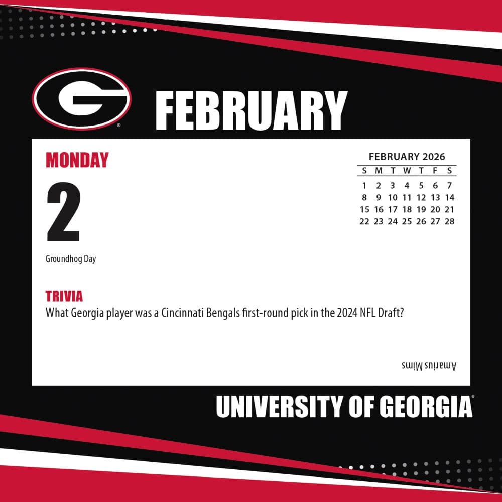 COL Georgia Bulldogs Box Third Alternate Image