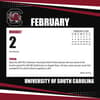 image COL South Carolina Gamecocks Box Third Alternate Image
