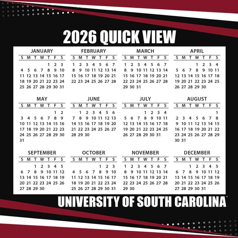 COL South Carolina Gamecocks Box Fourth Alternate Image