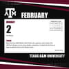 image COL Texas A&amp;M Aggies Box Third Alternate Image