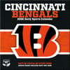 image NFL Cincinnati Bengals 2026 Desk Calendar First Alternate Image