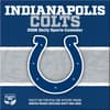 image NFL Indianapolis Colts 2026 Desk Calendar First Alternate Image