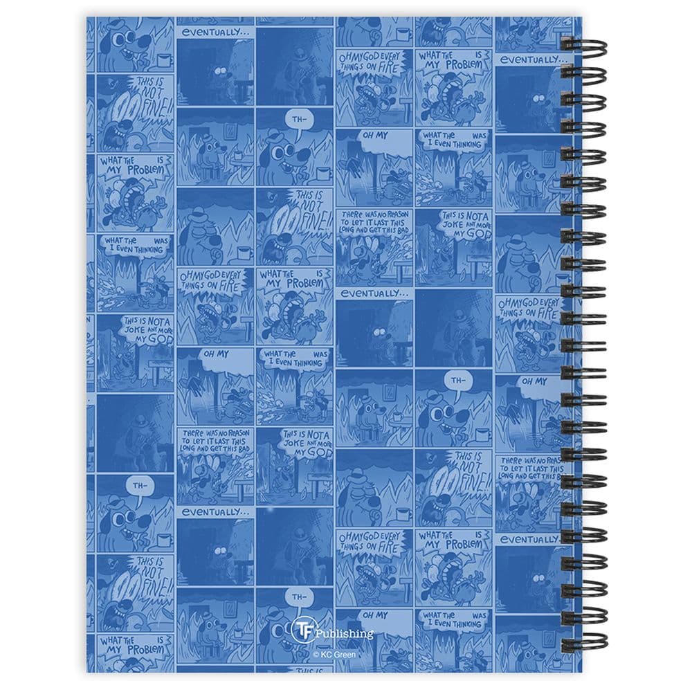  First Alternate Image